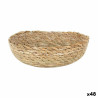 Cesta Multiusos Privilege Marrón Mimbre 16 x 16 x 5,5 cm (48 Unidades