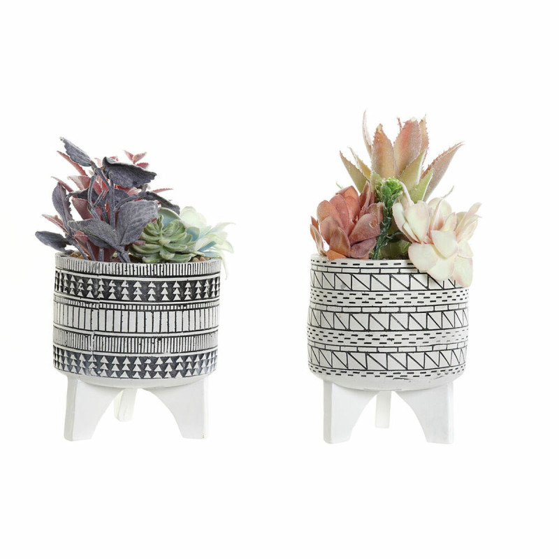Planta Decorativa DKD Home Decor Cactus Resina Polietileno 11 x 11 x 2