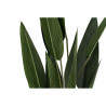 Planta Decorativa DKD Home Decor 40 x 40 x 115 cm Polietileno Verde Av