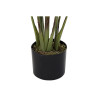 Planta Decorativa DKD Home Decor 40 x 40 x 115 cm Polietileno Verde Av