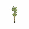 Árbol DKD Home Decor Poliéster Polipropileno Monstera 75 x 75 x 180