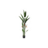Planta Decorativa DKD Home Decor 75 x 75 x 180 cm Naranja Verde Amaril