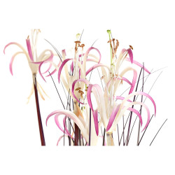 Planta Decorativa DKD Home Decor 45 x 45 x 140 cm Metal Naranja Verde