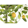 Árbol DKD Home Decor Limonero Poliéster Polipropileno (90 x 90 x 180