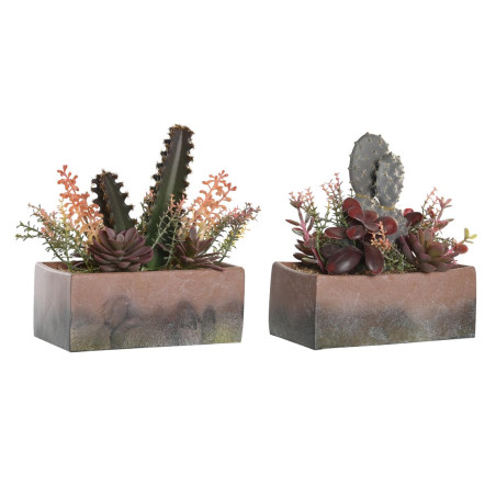 Planta Decorativa DKD Home Decor 19 x 9 x 22 cm Rosa Naranja Cactus Go