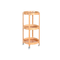 Organizador Multiusos DKD Home Decor Bambú Acero Inoxidable 43,6 x 43