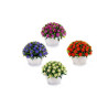 Flor Decorativa Ramo Plástico 14 x 12 x 14 cm (12 Unidades)