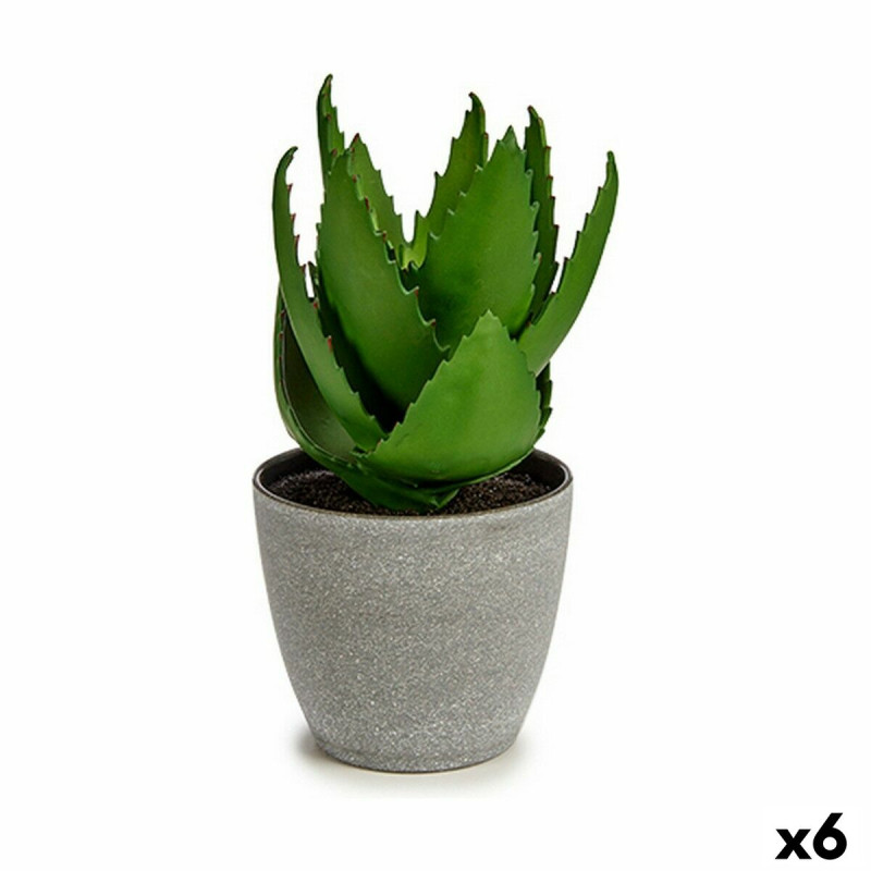 Planta Decorativa Aloe Vera 15 x 23,5 x 15 cm Gris Verde Plástico (6