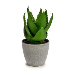 Planta Decorativa Aloe Vera 15 x 23,5 x 15 cm Gris Verde Plástico (6