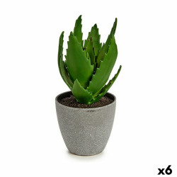Planta Decorativa Aloe Vera 14 x 21 x 14 cm Gris Verde Plástico (6 Un