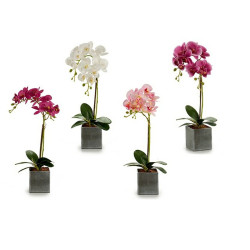 Flor Decorativa Orquídea Plástico 14 x 51 x 18 cm (6 Unidades)