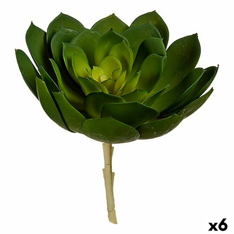 Planta Decorativa 22 x 19 x 19 cm Verde Plástico (6 Unidades) Planta Decorativa 22 x 19 x 19 cm Verde Plástico (6 Unidades)