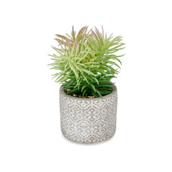 Planta Decorativa Suculenta Madera Plástico 12 x 22 x 12 cm (8 Unidad
