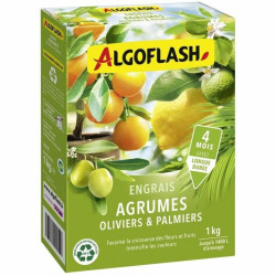 Fertilizante para plantas Algoflash Naturasol Olivo Palmera Cítricos
