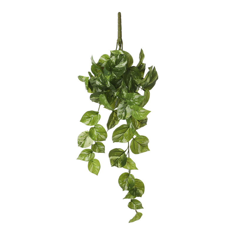 Planta Decorativa Mica Decorations Potos 14 x 58 x 20 cm Colgante Planta Decorativa Mica Decorations Potos 14 x 58 x 20 cm Colgante