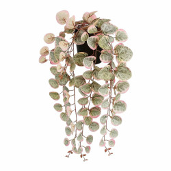 Planta Decorativa Mica Decorations Ceropegia Woodii 10 x 46 x 12 cm Ar