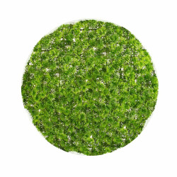 Planta Decorativa  Bola Musgo 30 x 30 x 30 cm