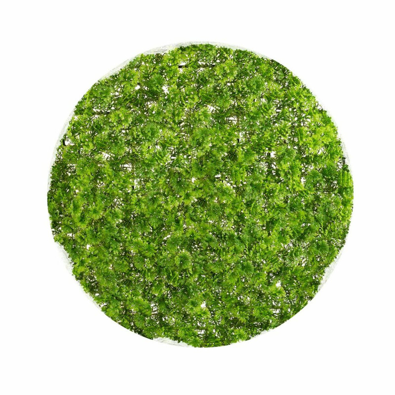 Planta Decorativa  Bola Musgo 30 x 30 x 30 cm