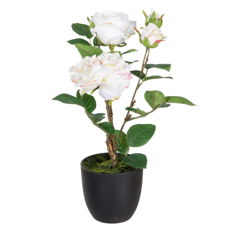 Planta Decorativa Poliéster Polietileno Hierro Rosa 27 x 27 x 38 cm Planta Decorativa Poliéster Polietileno Hierro Rosa 27 x 27 x 38 cm