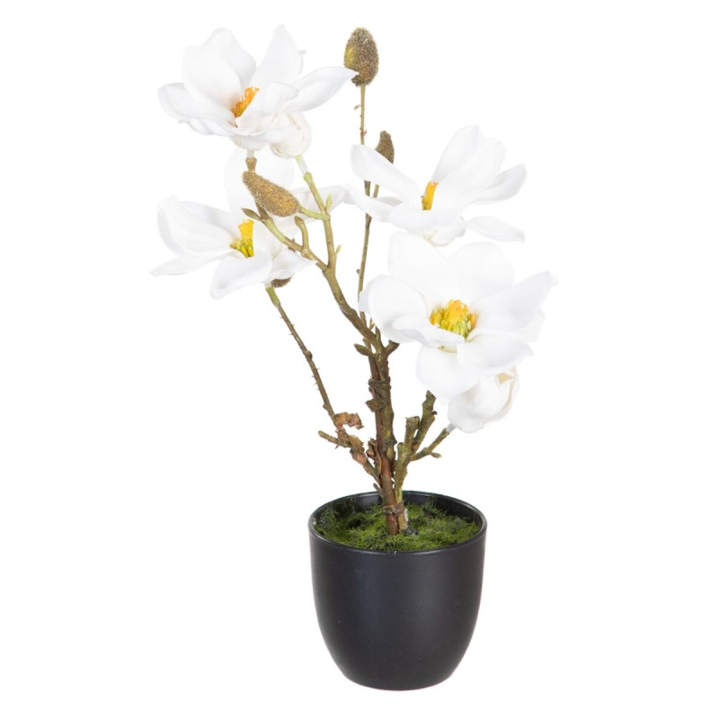 Planta Decorativa Poliéster Polietileno Hierro 22 x 22 x 38 cm Magnol Planta Decorativa Poliéster Polietileno Hierro 22 x 22 x 38 cm Magnol