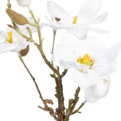 Planta Decorativa Poliéster Polietileno Hierro 22 x 22 x 38 cm Magnol