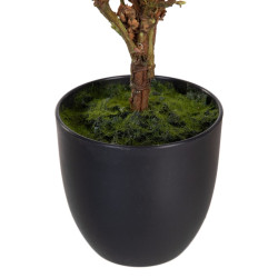 Planta Decorativa Poliéster Polietileno Hierro 30 x 30 x 60 cm Magnol