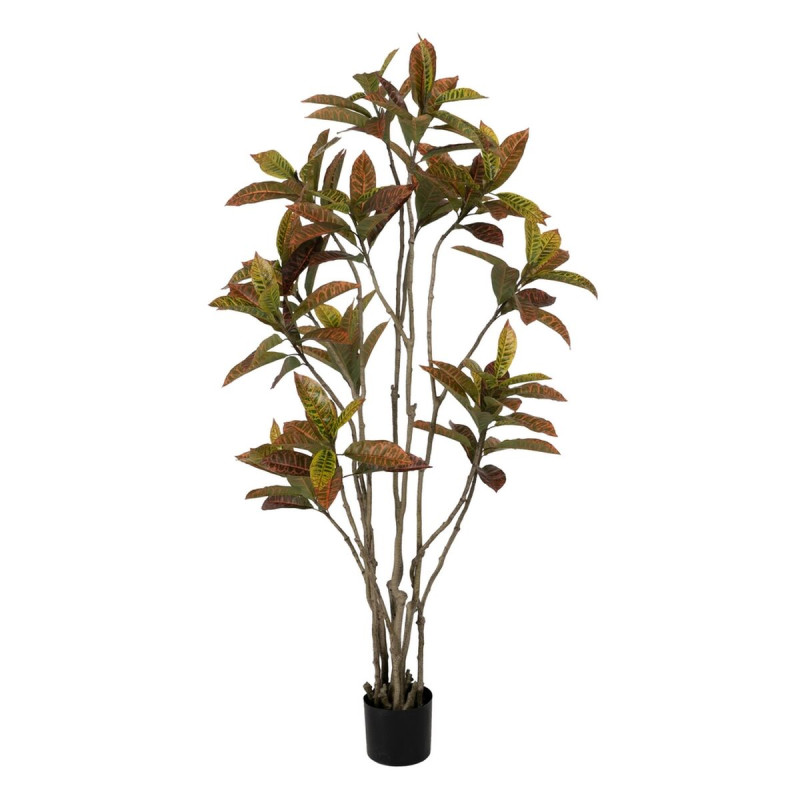 Planta Decorativa Goma Polipropileno 60 x 60 x 150 cm Planta Decorativa Goma Polipropileno 60 x 60 x 150 cm