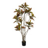Planta Decorativa Goma Polipropileno 60 x 60 x 150 cm
