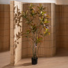 Planta Decorativa Goma Polipropileno 60 x 60 x 150 cm