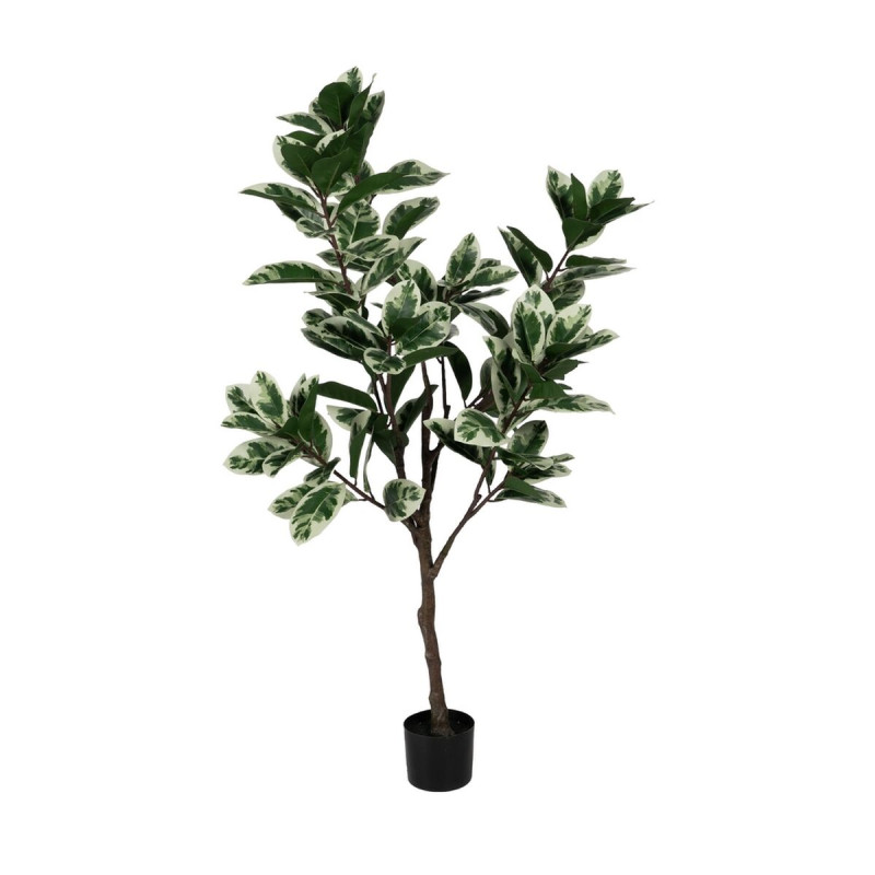 Planta Decorativa Goma 70 x 70 x 150 cm Planta Decorativa Goma 70 x 70 x 150 cm