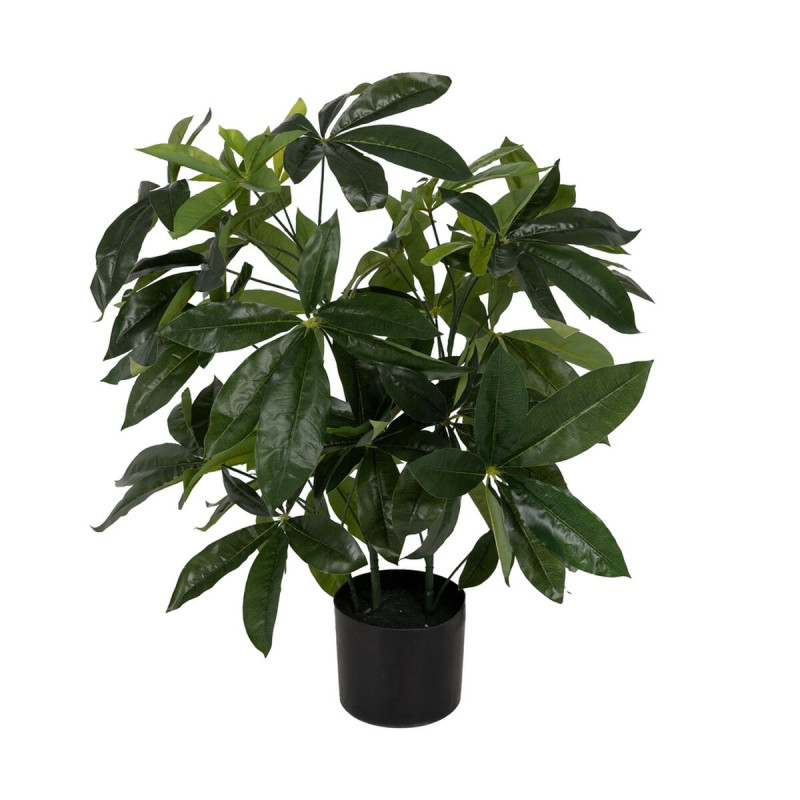 Planta Decorativa 50 X 50 X 70 CM Planta Decorativa 50 X 50 X 70 CM