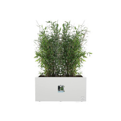 Maceta Elho 59 x 30 x 29 cm Blanco Plástico Rectangular Moderno