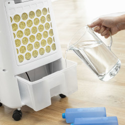 Climatizador Evaporativo Ionizador sin Aspas con LED Evareer InnovaGoo