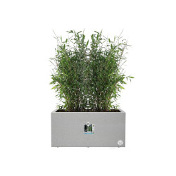 Maceta Elho Blanco 59 x 30 x 29 cm Plástico Rectangular Moderno