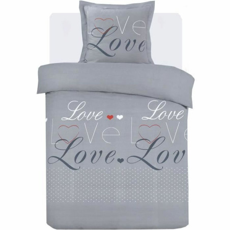 Juego de funda nórdica Vision Dream Gris Plateado
