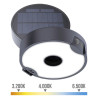 Aplique de Pared EDM 31820 Policarbonato ABS 4 W 500 lm Estaca solar d