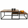 Juego de 2 mesas Alexandra House Living Natural Hierro Madera de mango