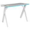 Mesa de Escritorio Mars Gaming MGD100RGBW Blanco Acero 100 x 60 cm