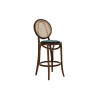 Taburete DKD Home Decor Verde Marrón oscuro Ratán Madera de olmo 43