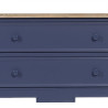 Mueble Auxiliar Azul Natural Madera de abeto Madera MDF 80 x 45 x 60 c