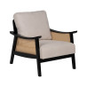 Sillón Negro Beige Polietileno Madera de caucho Madera MDF Foam 100 %