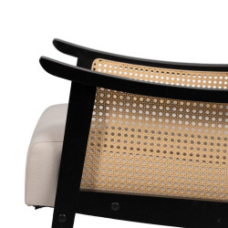 Sillón Negro Beige Polietileno Madera de caucho Madera MDF Foam 100 %