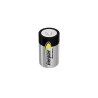 Pilas Energizer LR14 R14 1,5 V (12 Unidades)