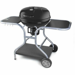 Barbacoa Portátil Fieldmann FZG 1014 Metal Acero