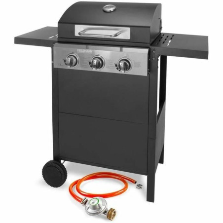 Barbacoa de Gas Fieldmann FZG 3003