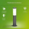 Lámpara Philips Luminarias de exterior Antracita E27 230 V 2700 K