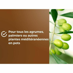 Tierra para macetas OR BRUN 6 L Cítricos