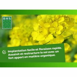 Fertilizante para plantas BHS 500 g