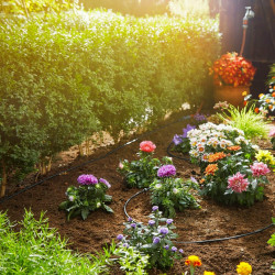 Sistema de riego por goteo Gardena