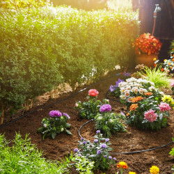 Sistema de riego por goteo Gardena